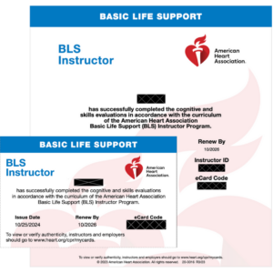AHA© BLS Provider Course in Saint Louis, MO (Initial&Renewal)