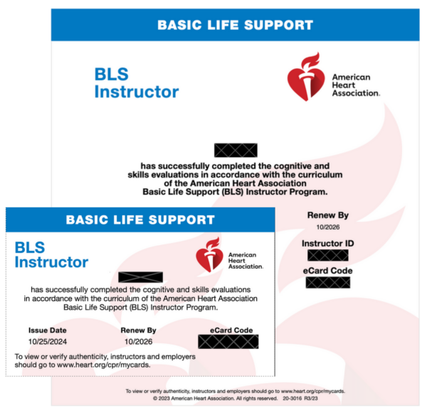 AHA© BLS Provider Course (Initial&Renewal) - Image 2