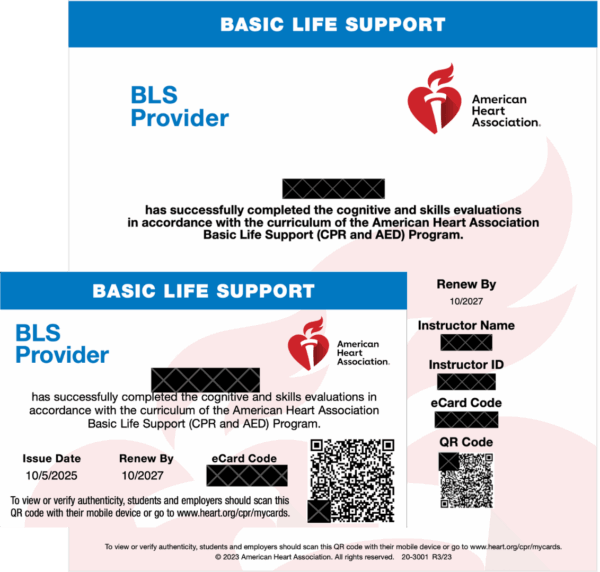 AHA© BLS Provider Course in Irvine, CA (Initial&Renewal) - Image 2